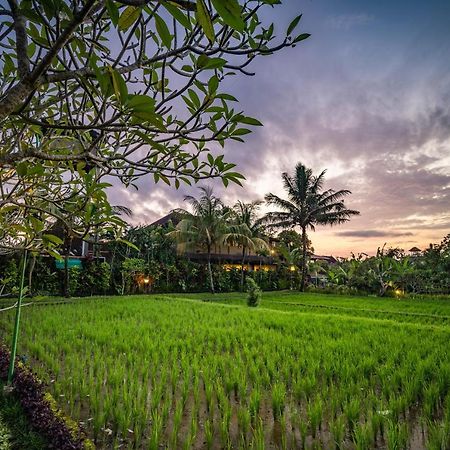Bliss Ubud Luxury Villa Экстерьер фото