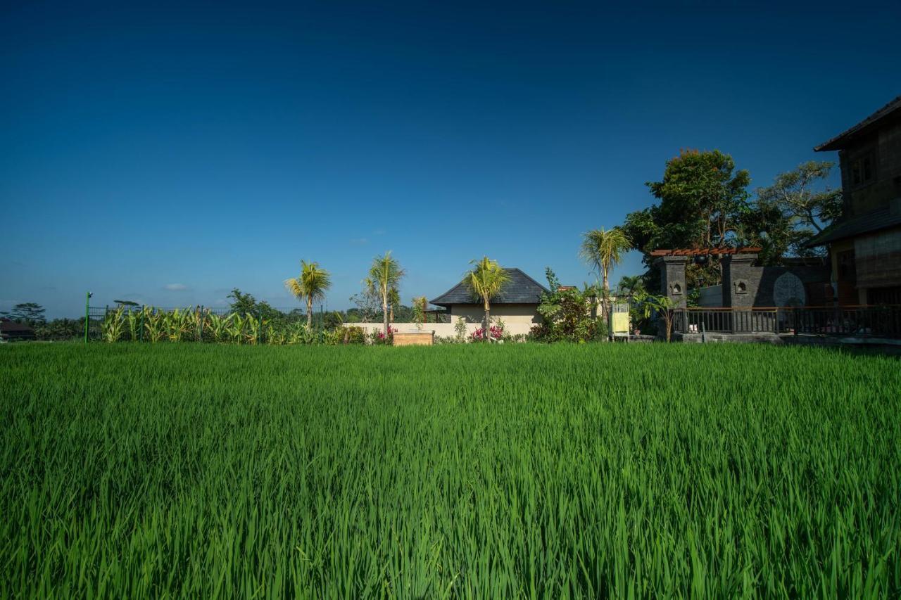 Bliss Ubud Luxury Villa Экстерьер фото
