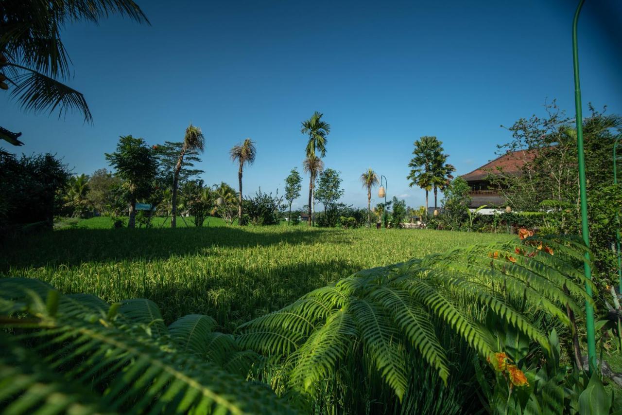 Bliss Ubud Luxury Villa Экстерьер фото