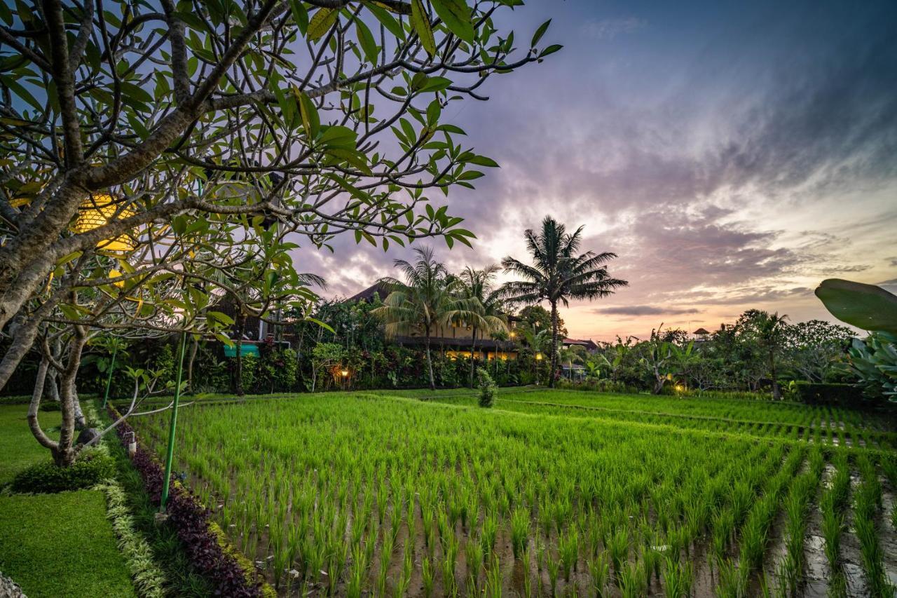 Bliss Ubud Luxury Villa Экстерьер фото