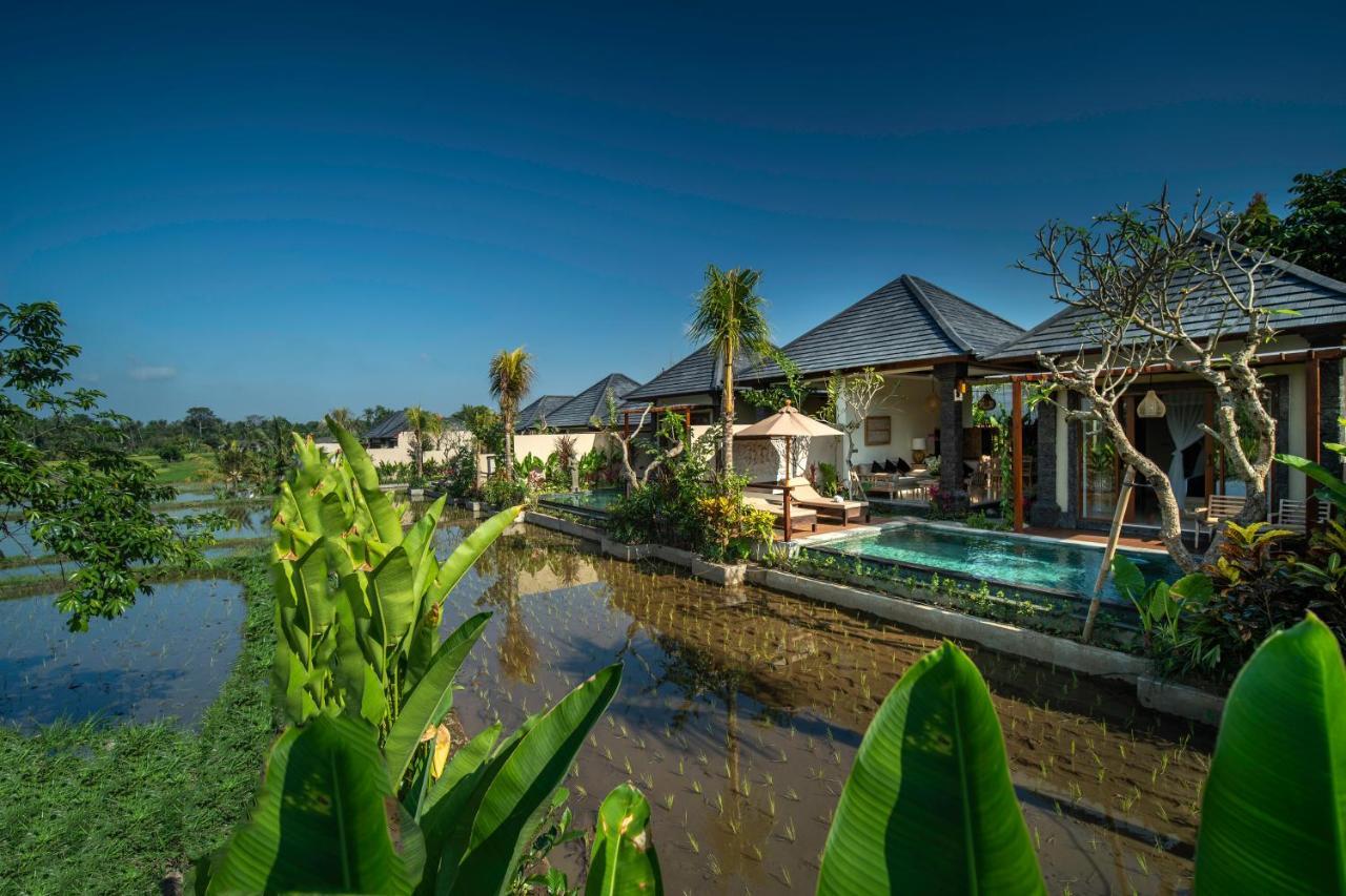 Bliss Ubud Luxury Villa Экстерьер фото